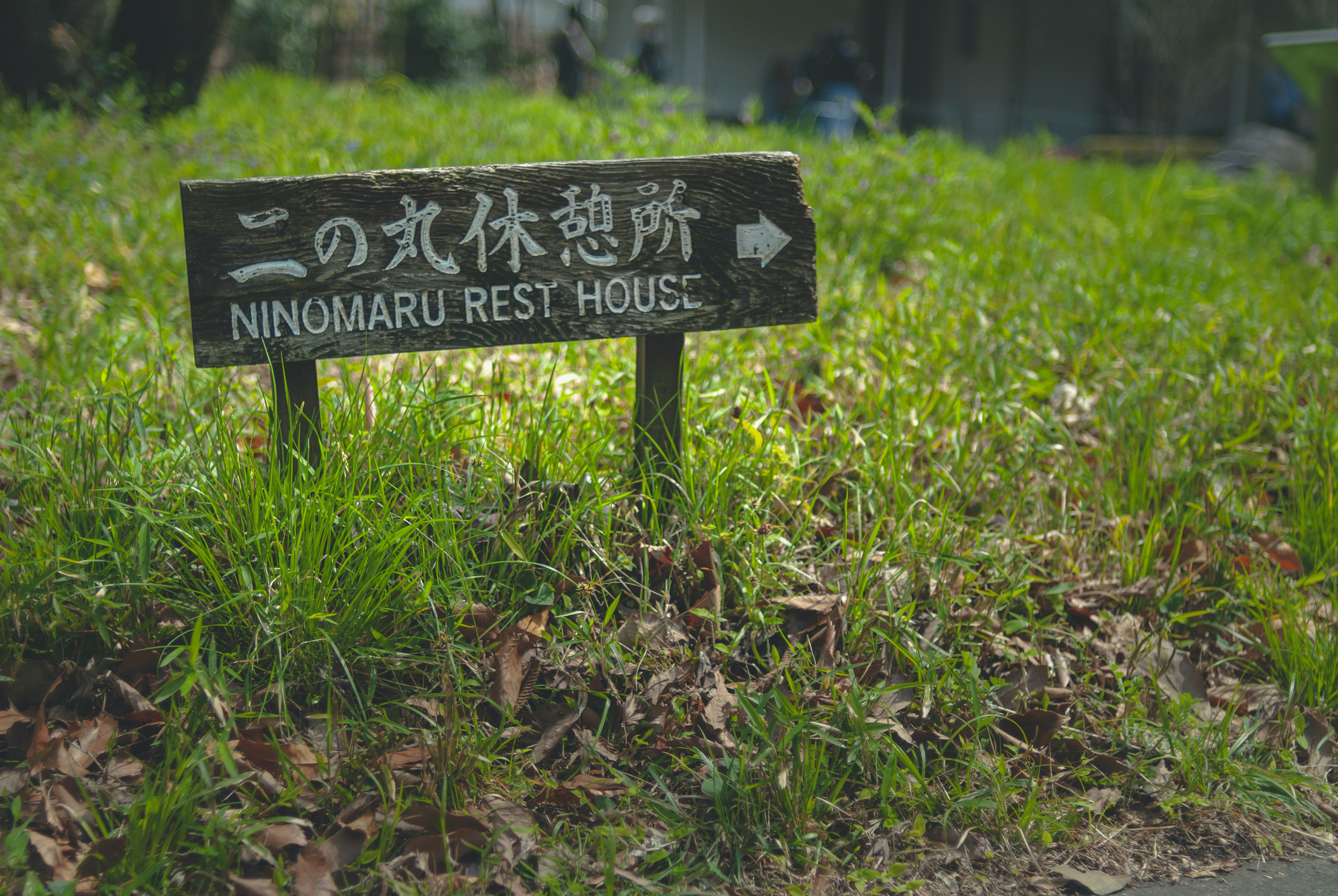 black wooden bench on green grass field during daytime